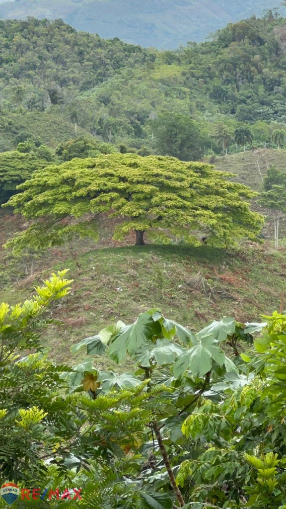 Land zu verkaufen in Jamao al Norte