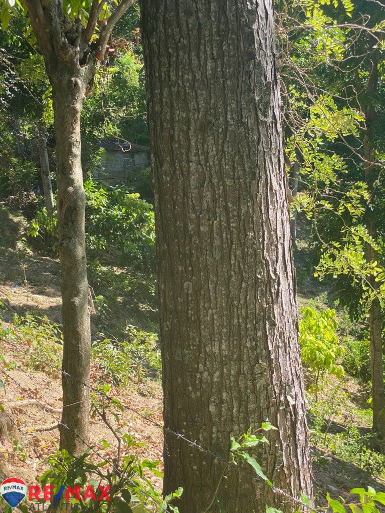 Land zu verkaufen in Jamao al Norte