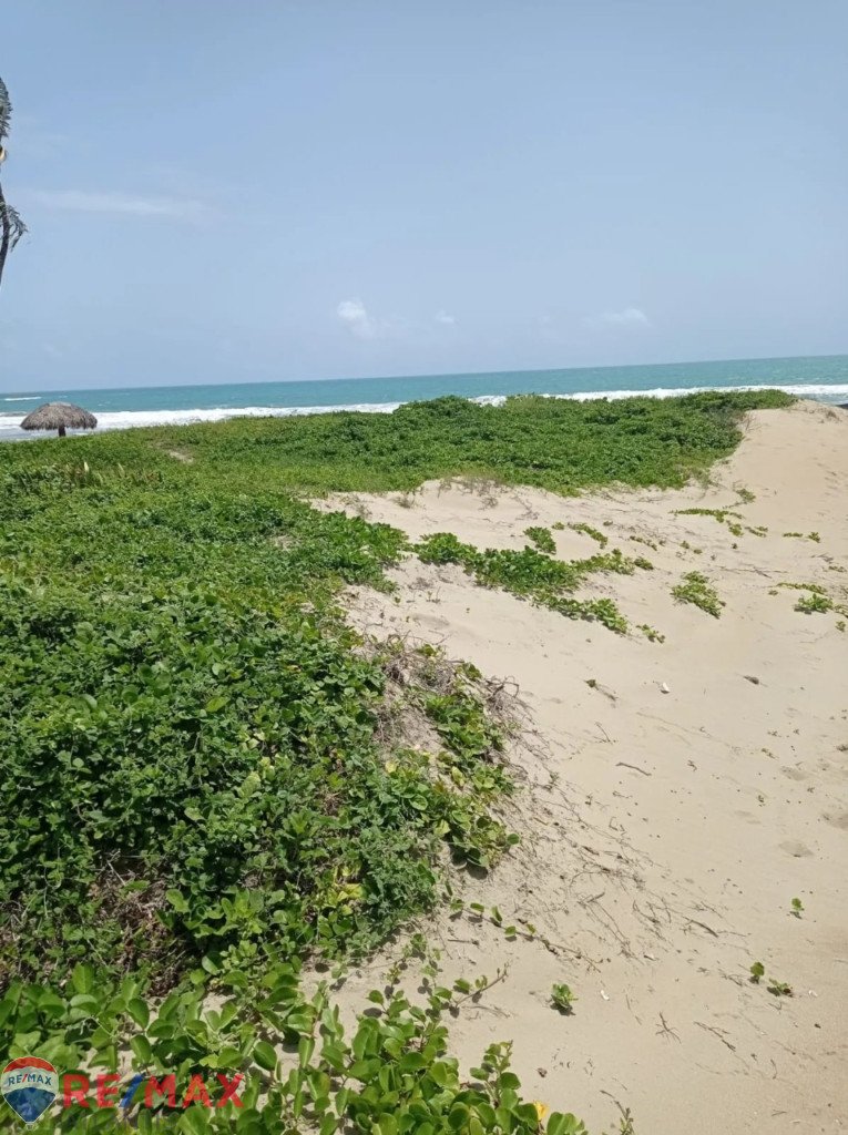 Beach Front Lot in Cabarete