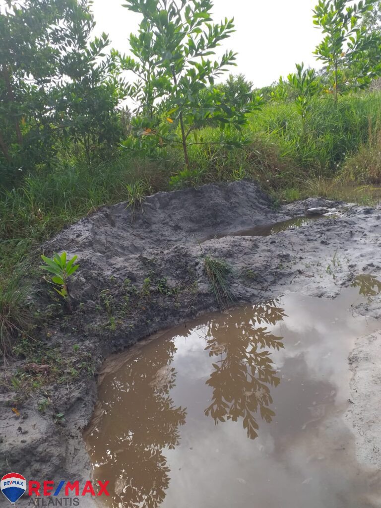 Mining farm in Rio San Juan, near Lagunas and Playas.