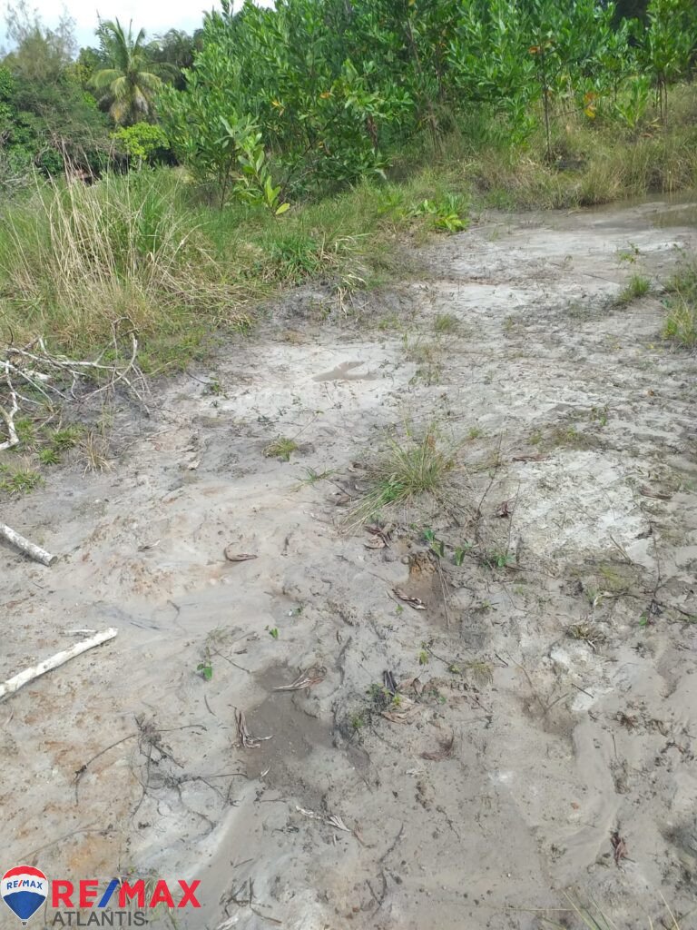 Mining farm in Rio San Juan, near Lagunas and Playas.