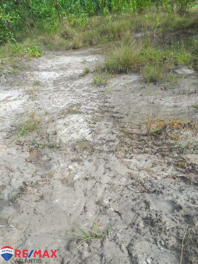 Mining farm in Rio San Juan, near Lagunas and Playas.