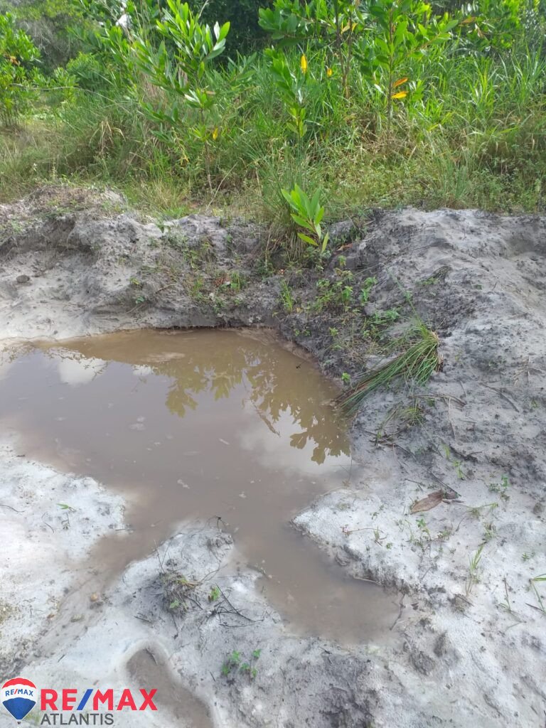 Mining farm in Rio San Juan, near Lagunas and Playas.