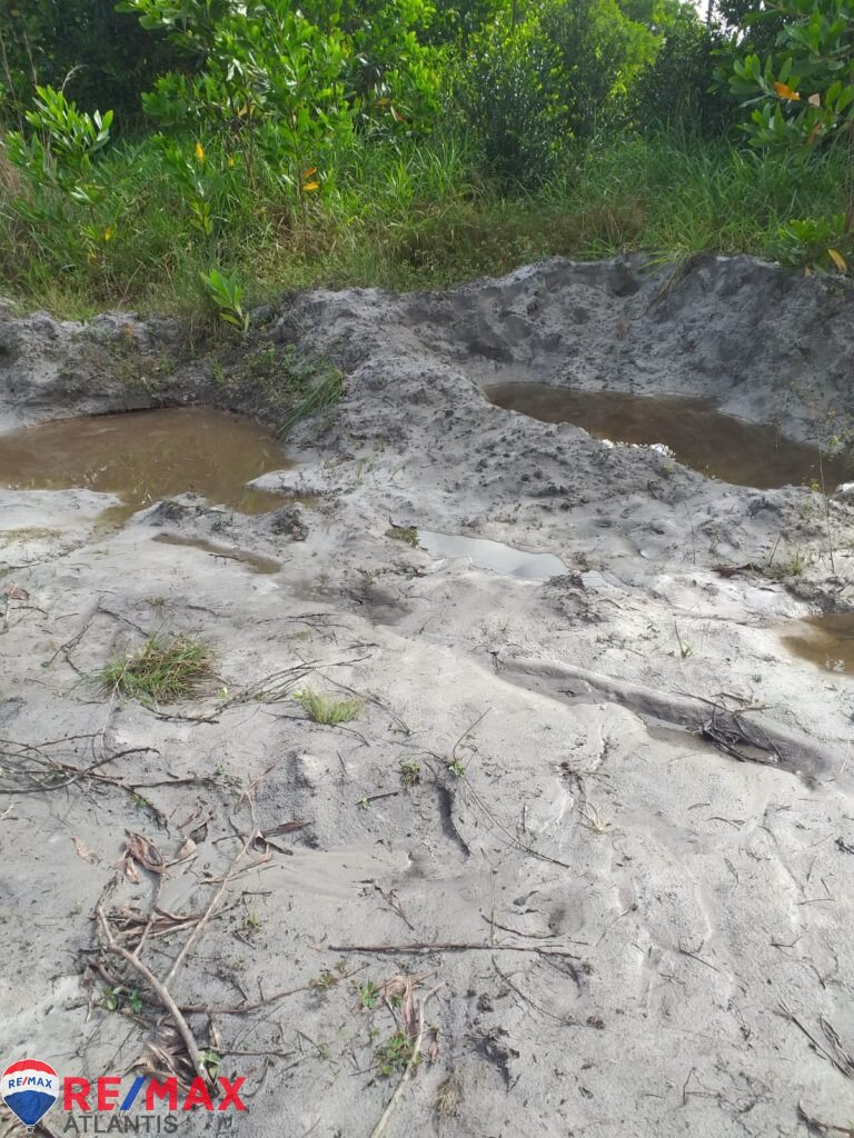 Mining farm in Rio San Juan, near Lagunas and Playas.