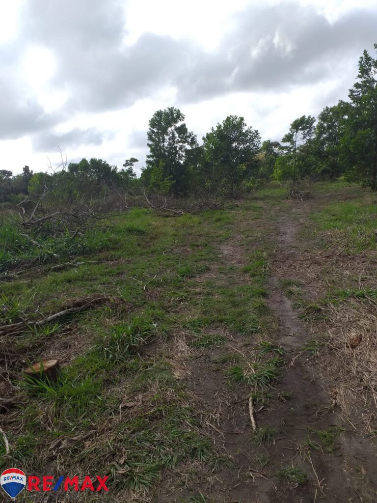 Mining farm in Rio San Juan, near Lagunas and Playas.
