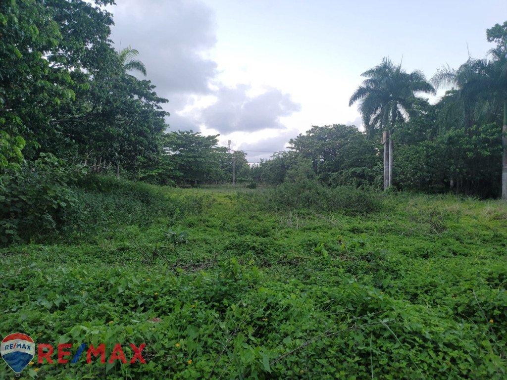 Residential plot of land for sale in Cabarete