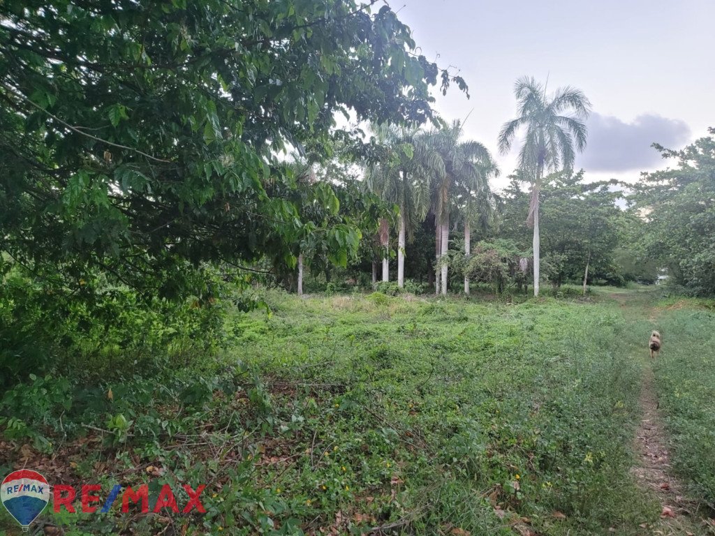 Residential plot of land for sale in Cabarete