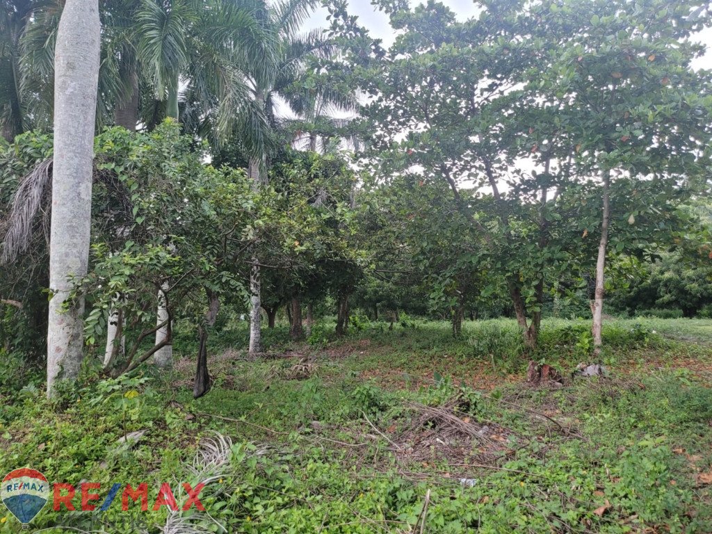 Residential plot of land for sale in Cabarete