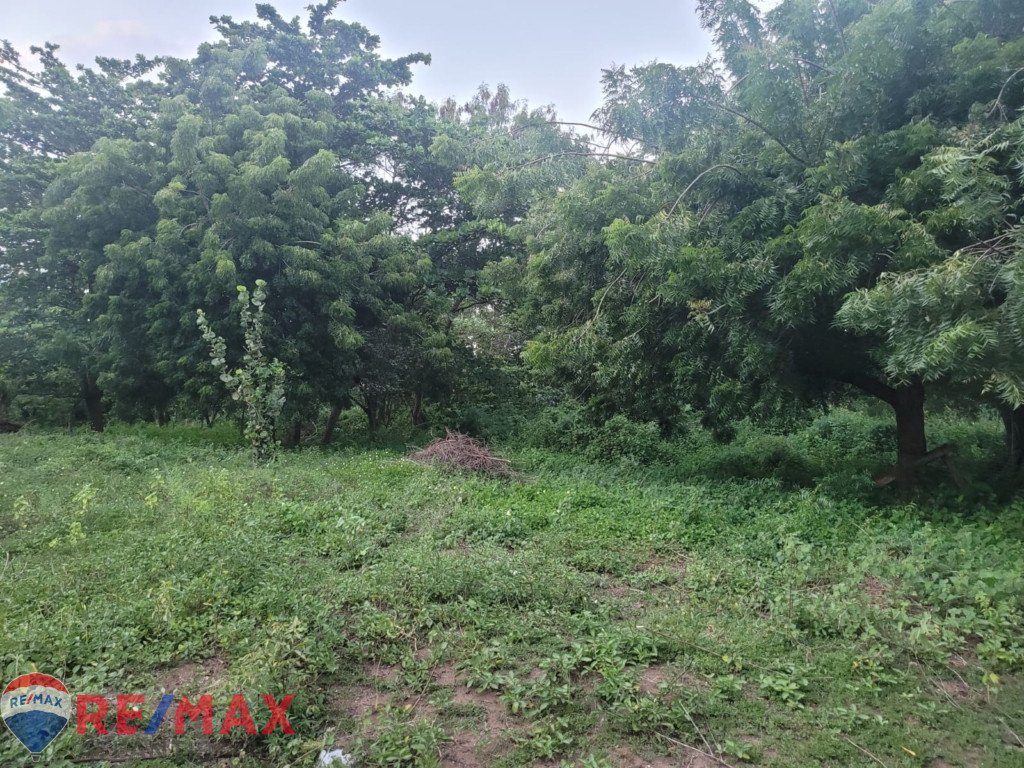 Residential plot of land for sale in Cabarete