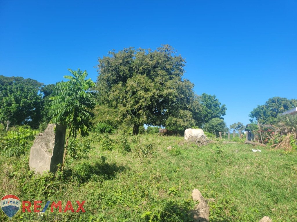 Terreno edificable cerca de una comunidad cerrada