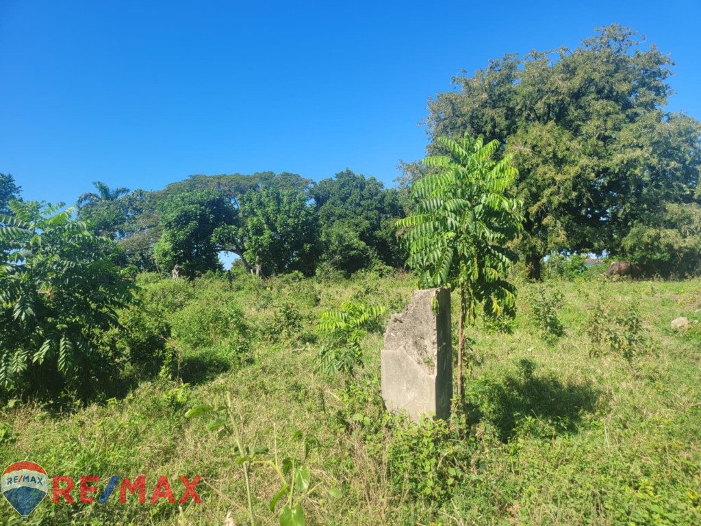 Terreno edificable cerca de una comunidad cerrada