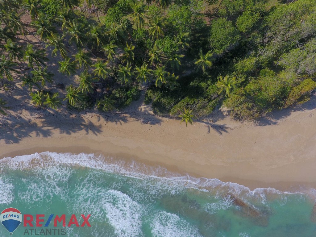 Premium Beachfront lot in Cabarete