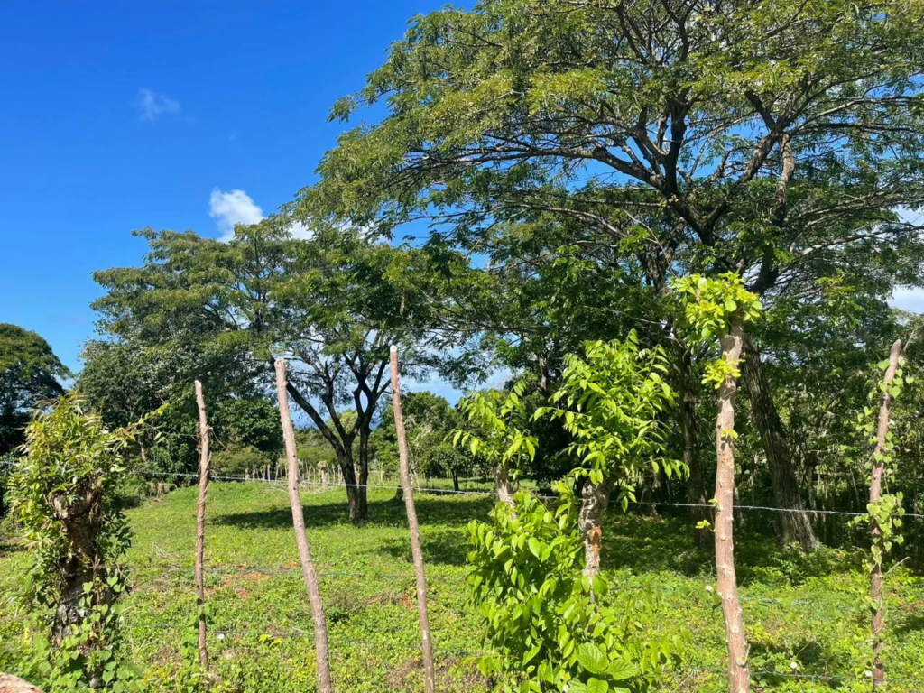 Exclusive land with ocean view