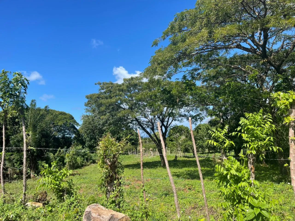 Exclusive land with ocean view