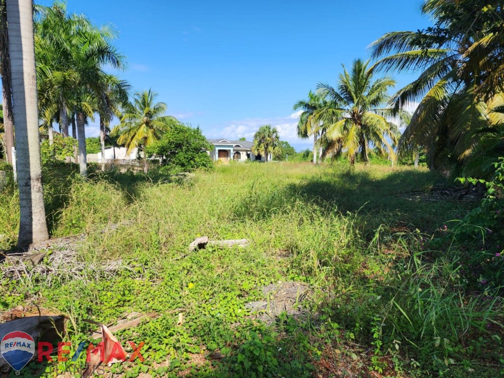 TERRENO PARA INVENTIR EN CABARETE