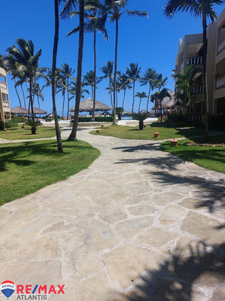 Your Dream Beachfront Apartment In Cabarete