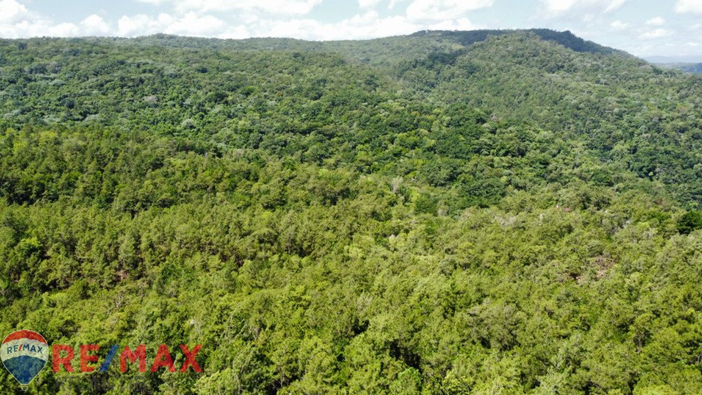Oportunidad única de adquirir terreno en Jarabacoa