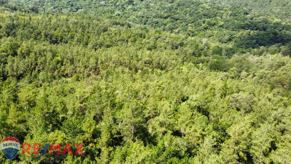 Oportunidad única de adquirir terreno en Jarabacoa