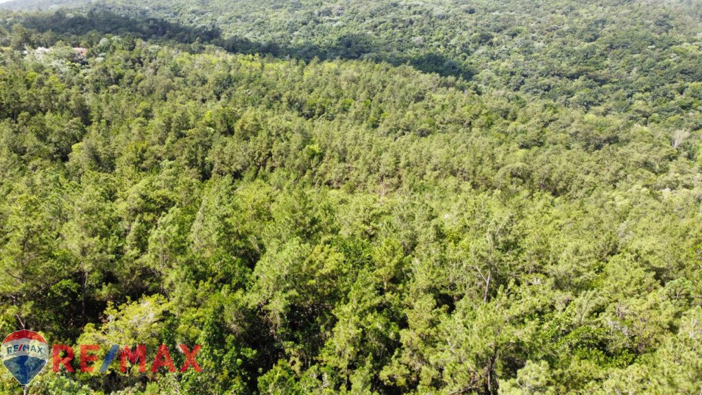Oportunidad única de adquirir terreno en Jarabacoa