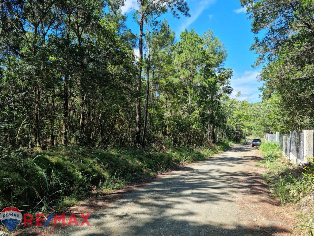 Oportunidad única de adquirir terreno en Jarabacoa