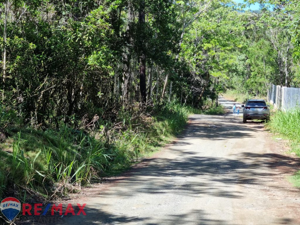 Oportunidad única de adquirir terreno en Jarabacoa