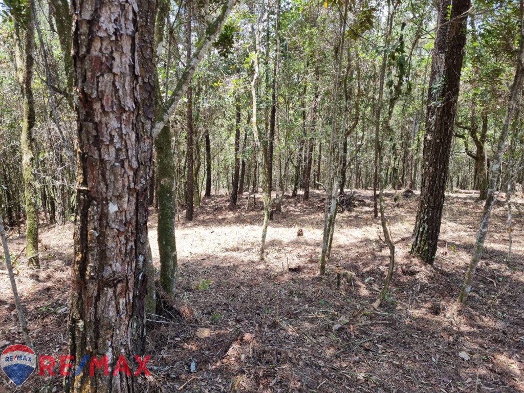 Oportunidad única de adquirir terreno en Jarabacoa