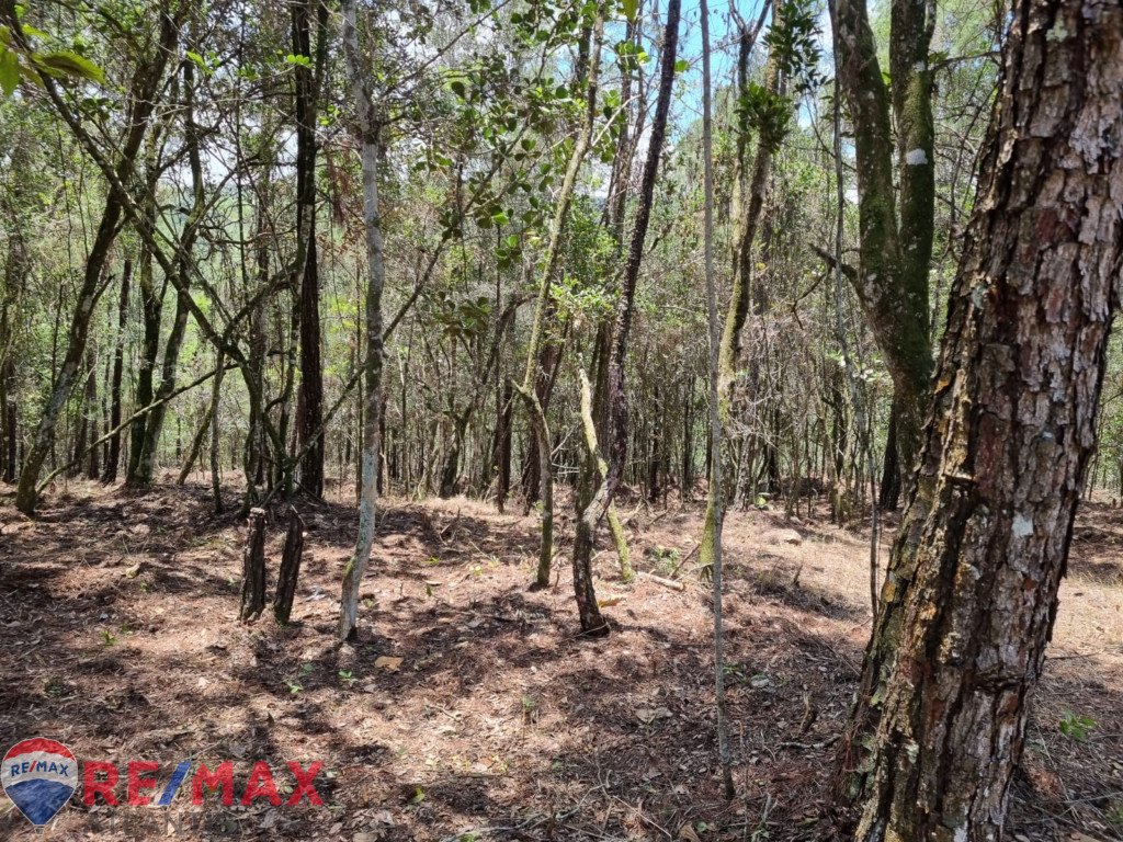 Oportunidad única de adquirir terreno en Jarabacoa