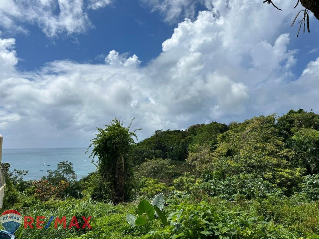 Spectacular Ocean View Land