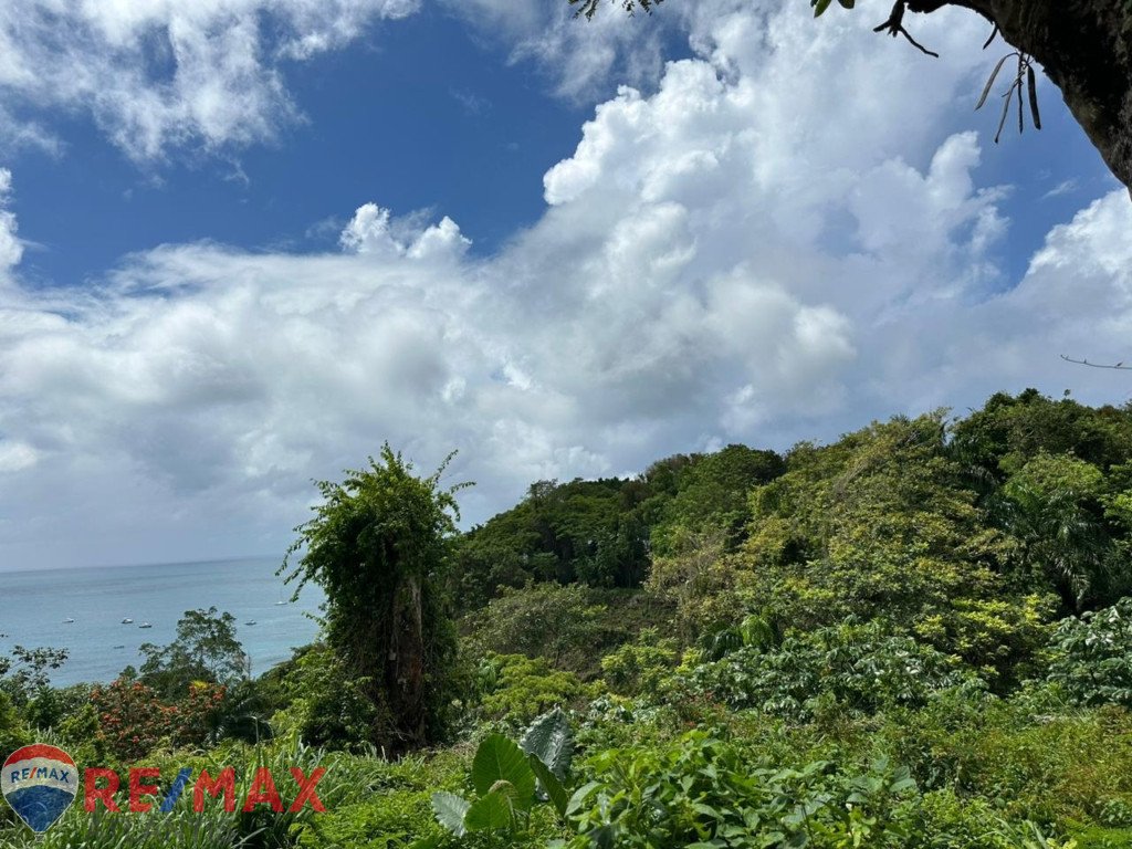 Spectacular Ocean View Land